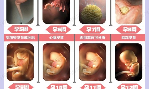 白血病用柔红霉素价格网 - 红霉素治疗白血病效果怎么样,红霉素治疗白血病效果怎么样
